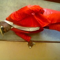 Elvis Makutu