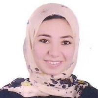 Hayam Amer