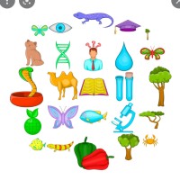 أسماء الحقباني