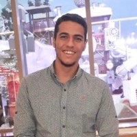 Tarek Mohamed