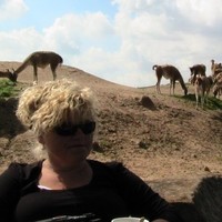 Marjan Koop