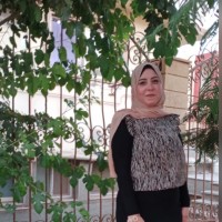Dina Elmasry