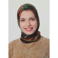 Engy Abd El Hakeem