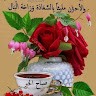 nice hello