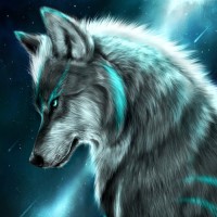 The Wolf