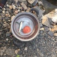 陈德通
