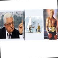 Mohmd Rajb