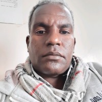 Mesfin Tekle