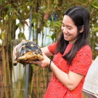 Hoa Tran