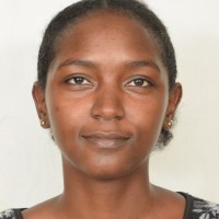 Zena N Mahmoud