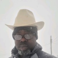 Seyi Shina Orisadipe