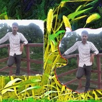 Mo Shahid