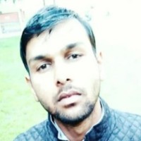 Raman Garg