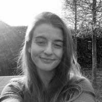 Mare Snellenberg
