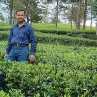 Muhammad Tariq Hafeez