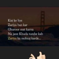 Mohd Amer