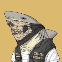 The SHARK