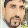 subhash dhull
