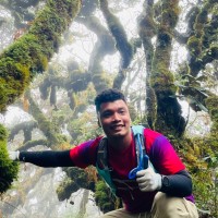 Hai Hau Le Quang