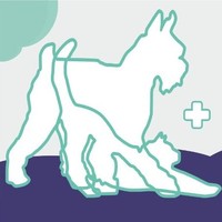 Albanta Veterinarios