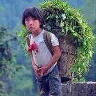 易春龙
