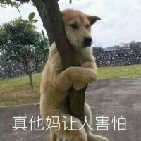 罗珍伟