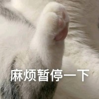 季斐文Vinnie