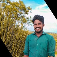 Vinod Yadav