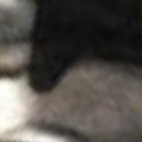 Sic Mo