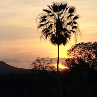 Jose Moreira Do Nasciment