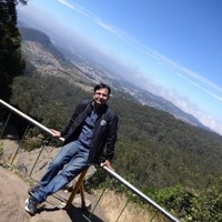 Ankur Bedi