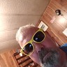 David Nimmons