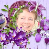 Engeltje Schepers