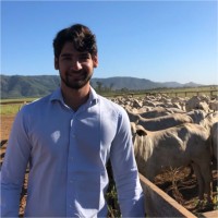 Matheus Ferro