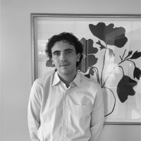 David Willner