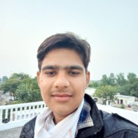 Anurag Meena