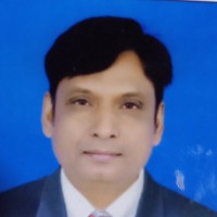 Salman Ansari