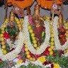 Sasi Kumar