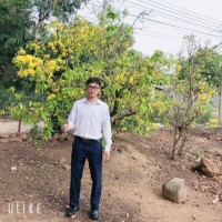 Võ Mạnh
