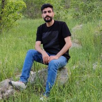 Saber ValiMohamadi