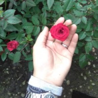 Farah Liyana Zahari