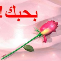 احلى حب