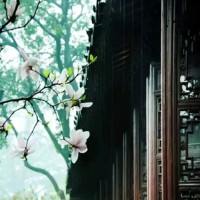 刘云霞