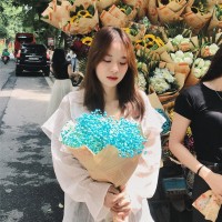 Quỳnh Vũ
