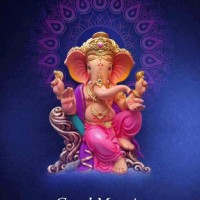 Chaudhari Dharmishtha