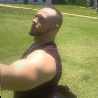 Bruno Nogueira
