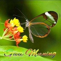 Dhananjay Lade