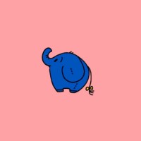 张鑫悦