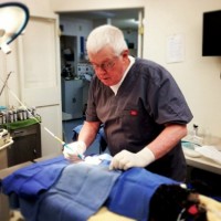 Dr. William Henderson, DVM