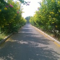Deepak Baswan